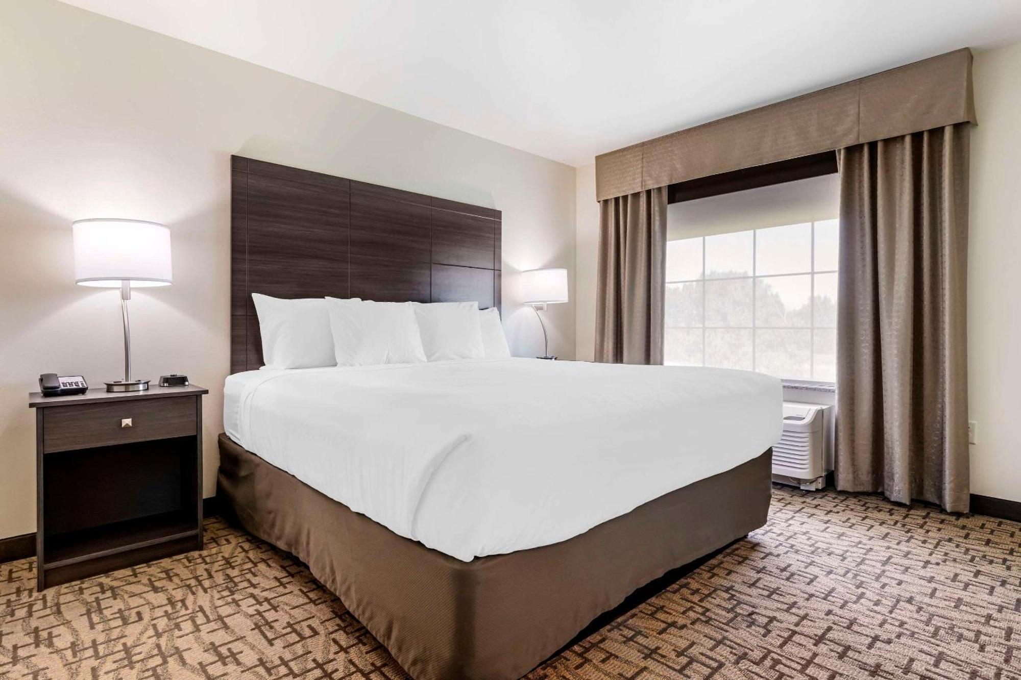 Comfort Inn & Suites Medina Zewnętrze zdjęcie