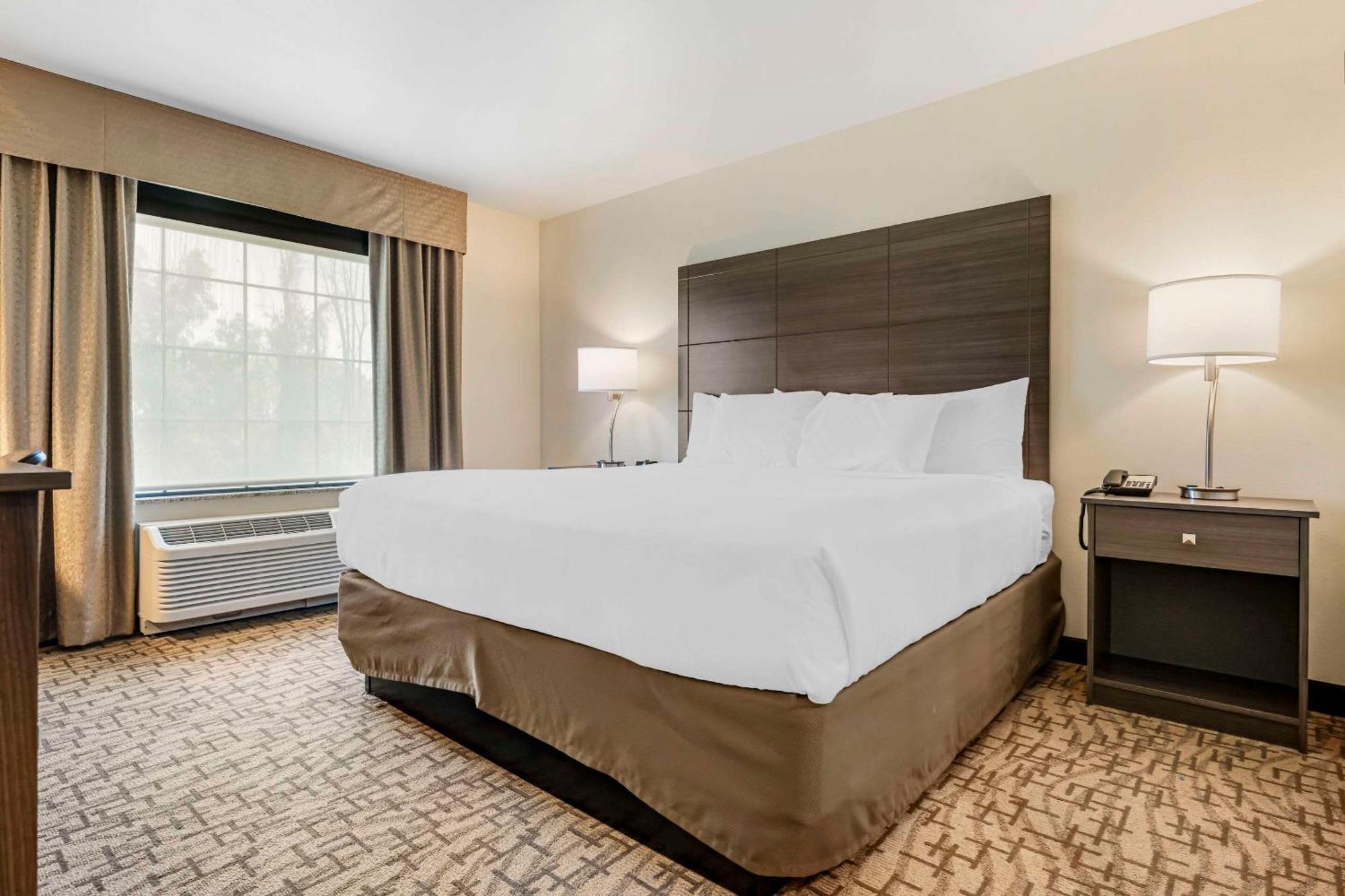Comfort Inn & Suites Medina Zewnętrze zdjęcie