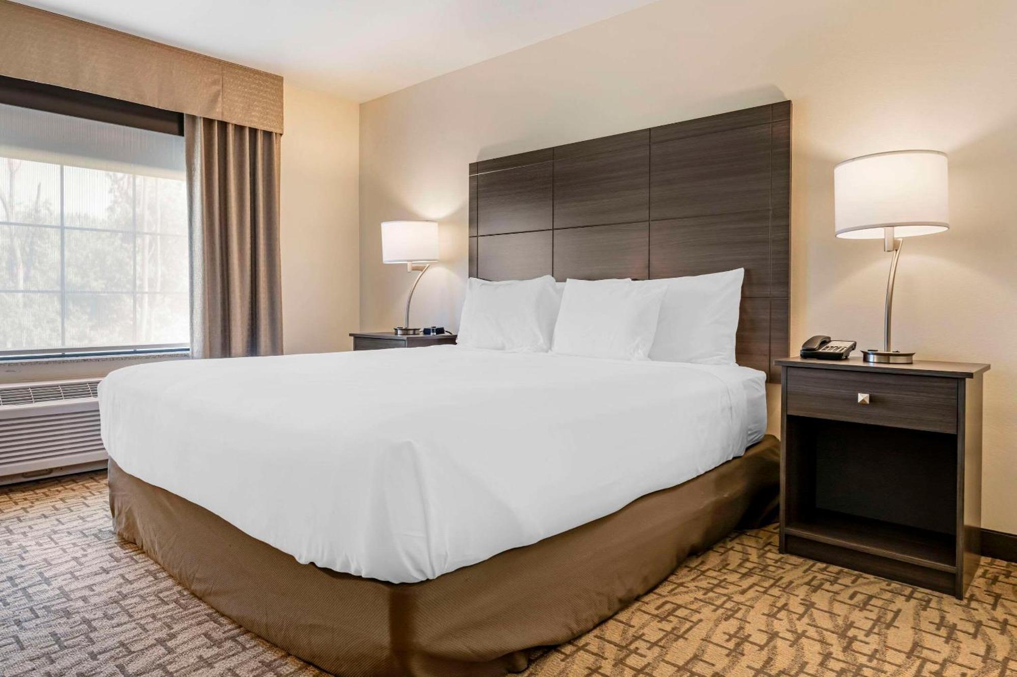 Comfort Inn & Suites Medina Zewnętrze zdjęcie